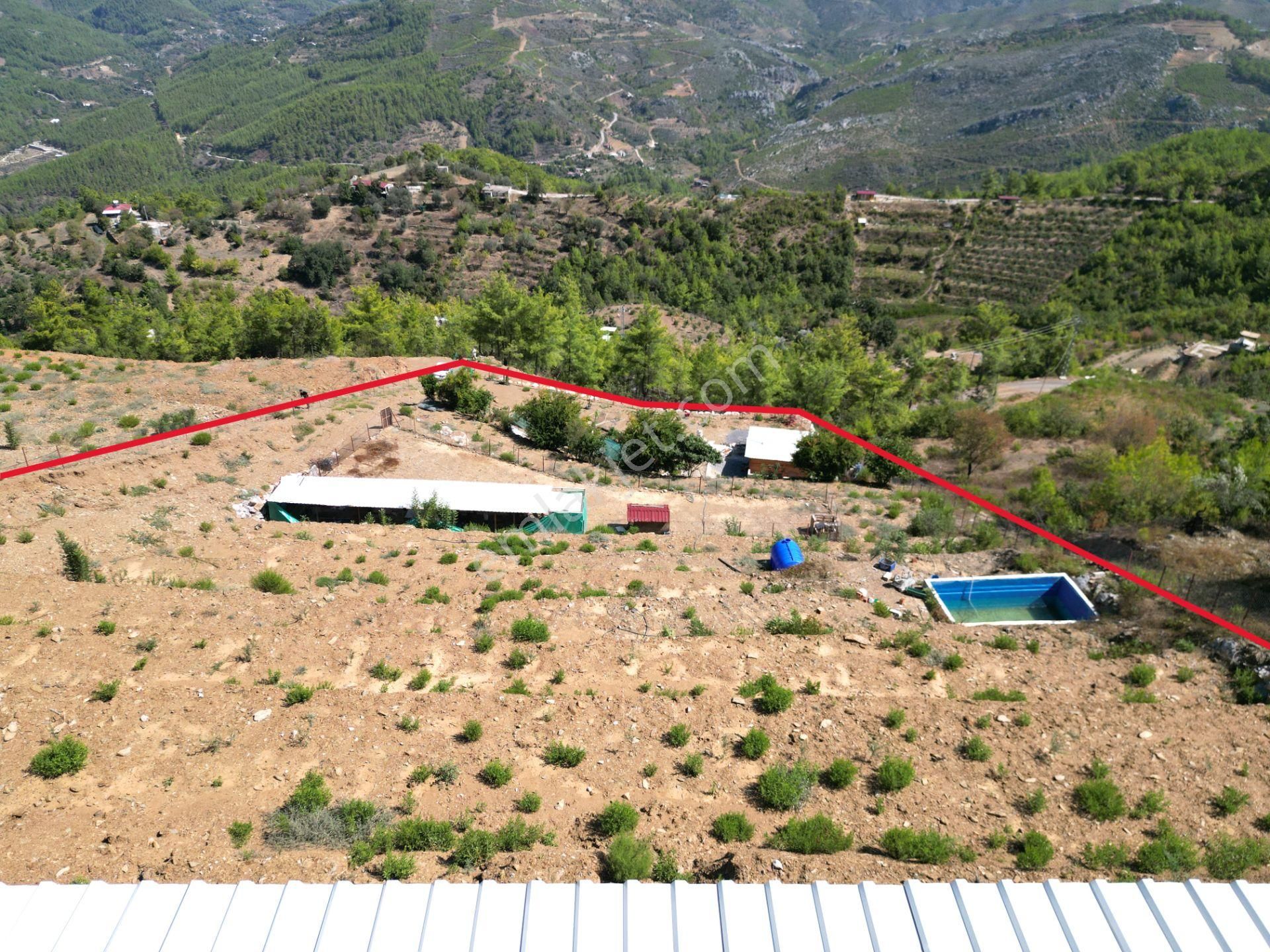 Fakırcalı Köyünde Satılık 3700 M2 Zeytin Tarlası Ve Prefabrik Ev - Görsel 21