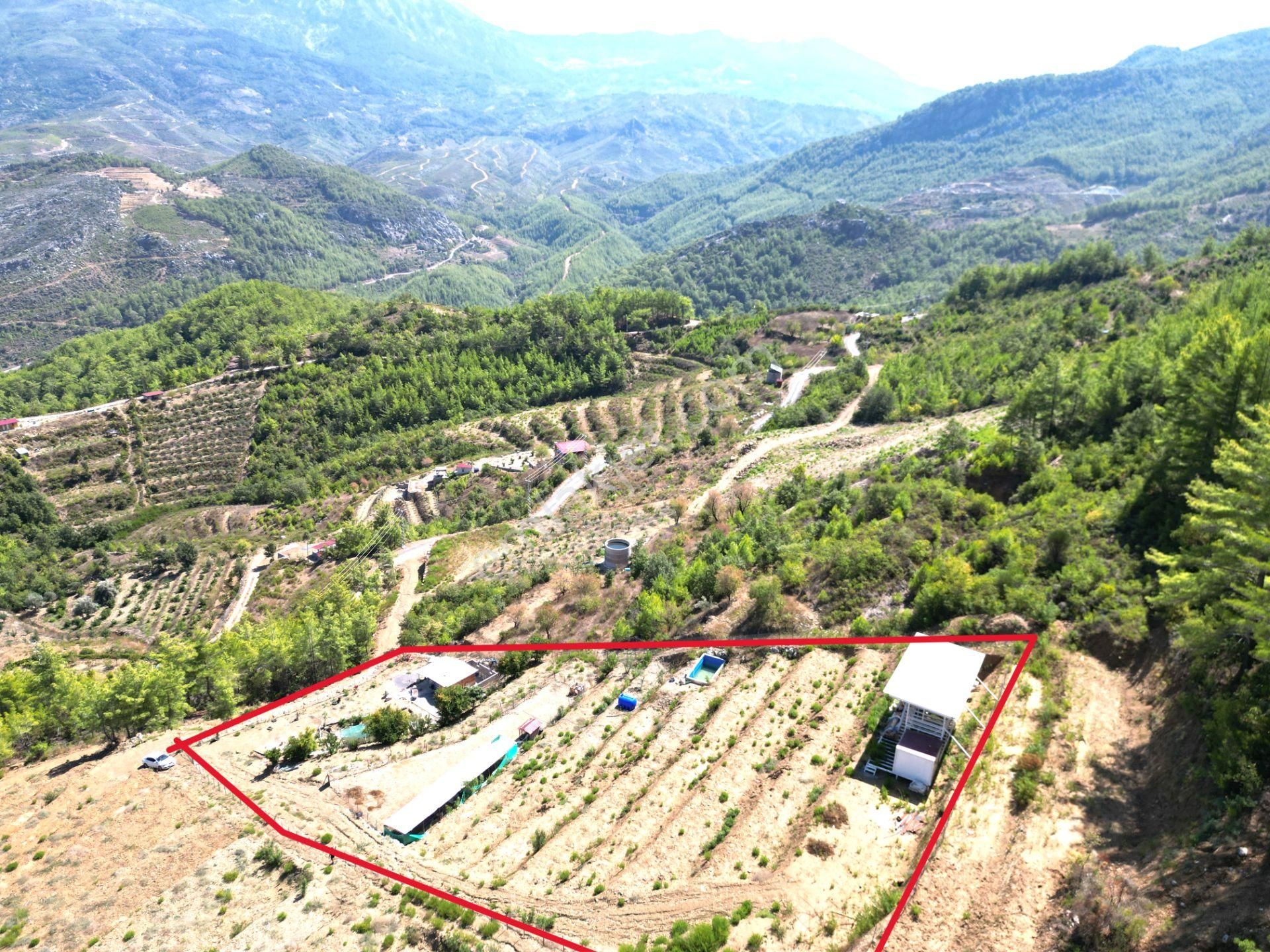 Fakırcalı Köyünde Satılık 3700 M2 Zeytin Tarlası Ve Prefabrik Ev - Görsel 26