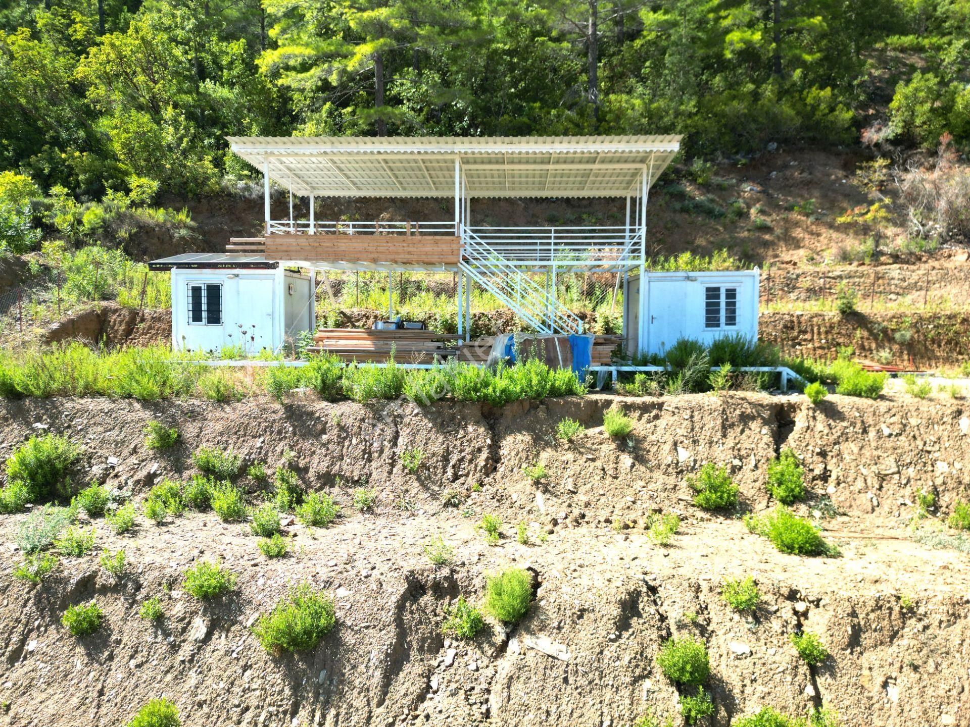 Fakırcalı Köyünde Satılık 3700 M2 Zeytin Tarlası Ve Prefabrik Ev - Görsel 28