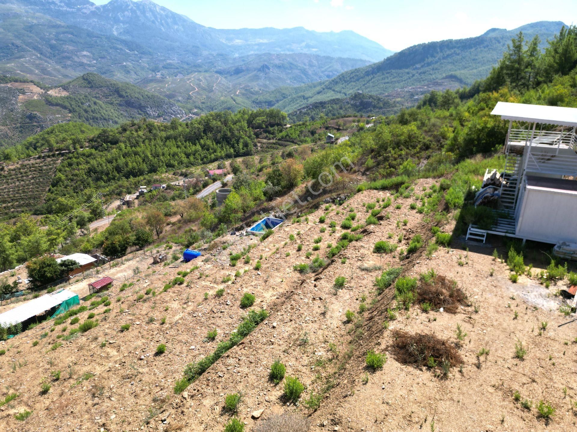 Fakırcalı Köyünde Satılık 3700 M2 Zeytin Tarlası Ve Prefabrik Ev - Görsel 14