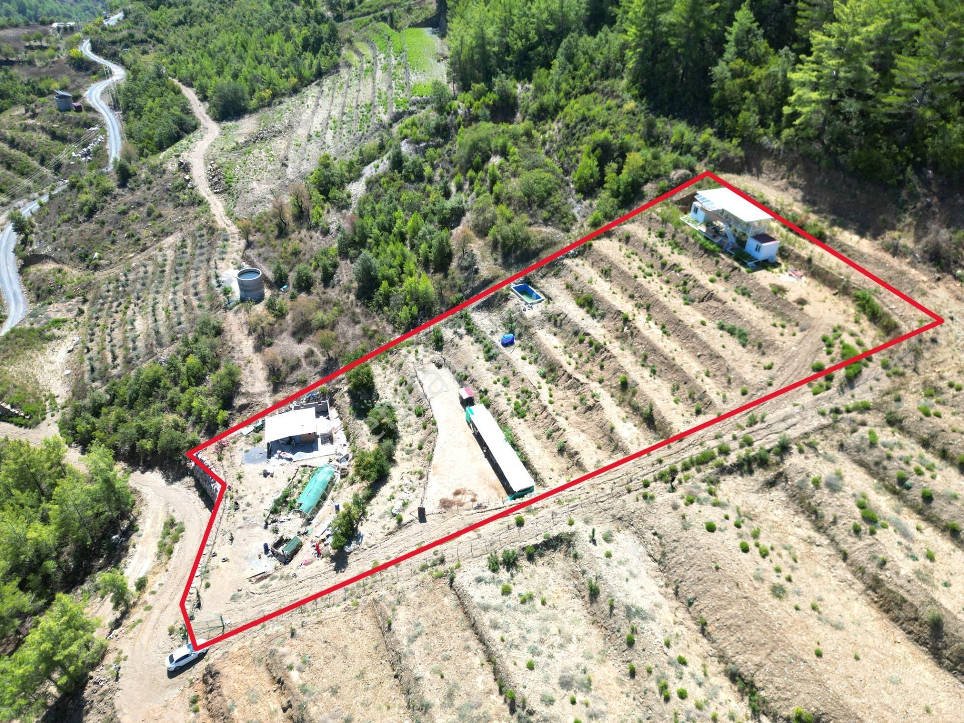 Fakırcalı Köyünde Satılık 3700 M2 Zeytin Tarlası Ve Prefabrik Ev - Görsel 15