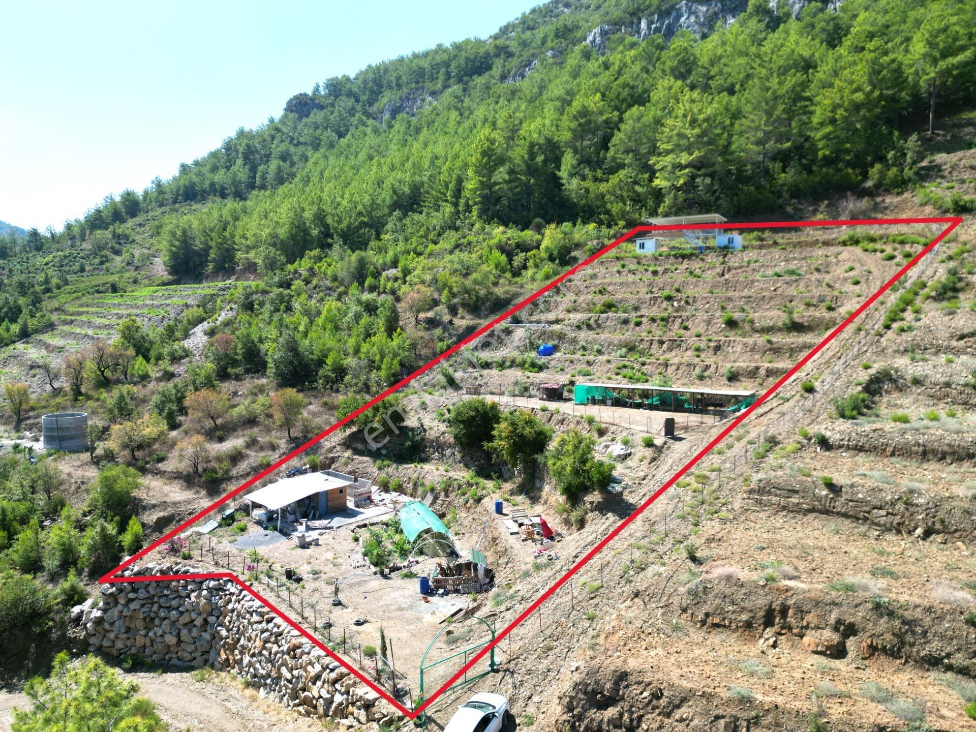 Fakırcalı Köyünde Satılık 3700 M2 Zeytin Tarlası Ve Prefabrik Ev - Görsel 12