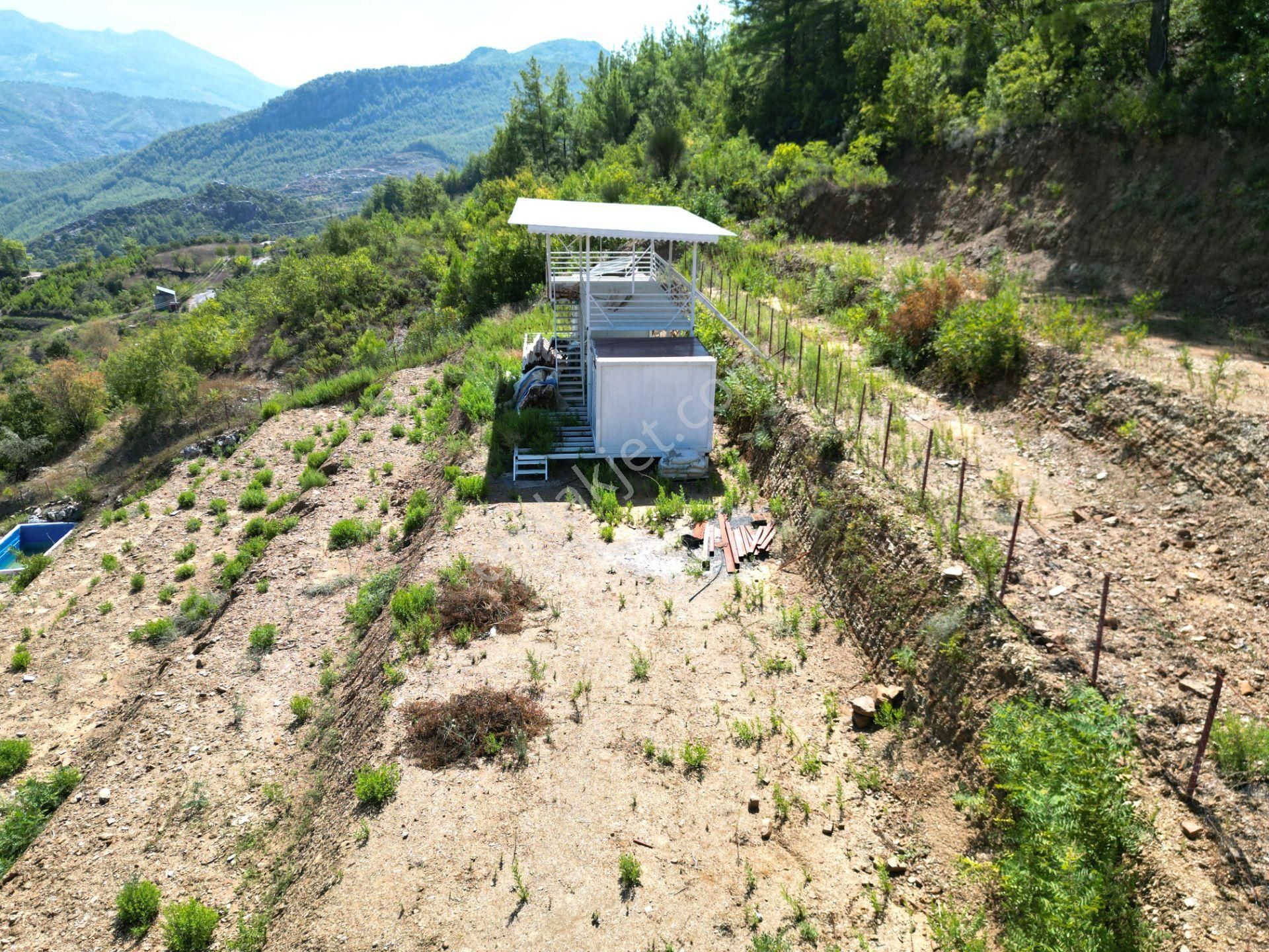 Fakırcalı Köyünde Satılık 3700 M2 Zeytin Tarlası Ve Prefabrik Ev - Görsel 3