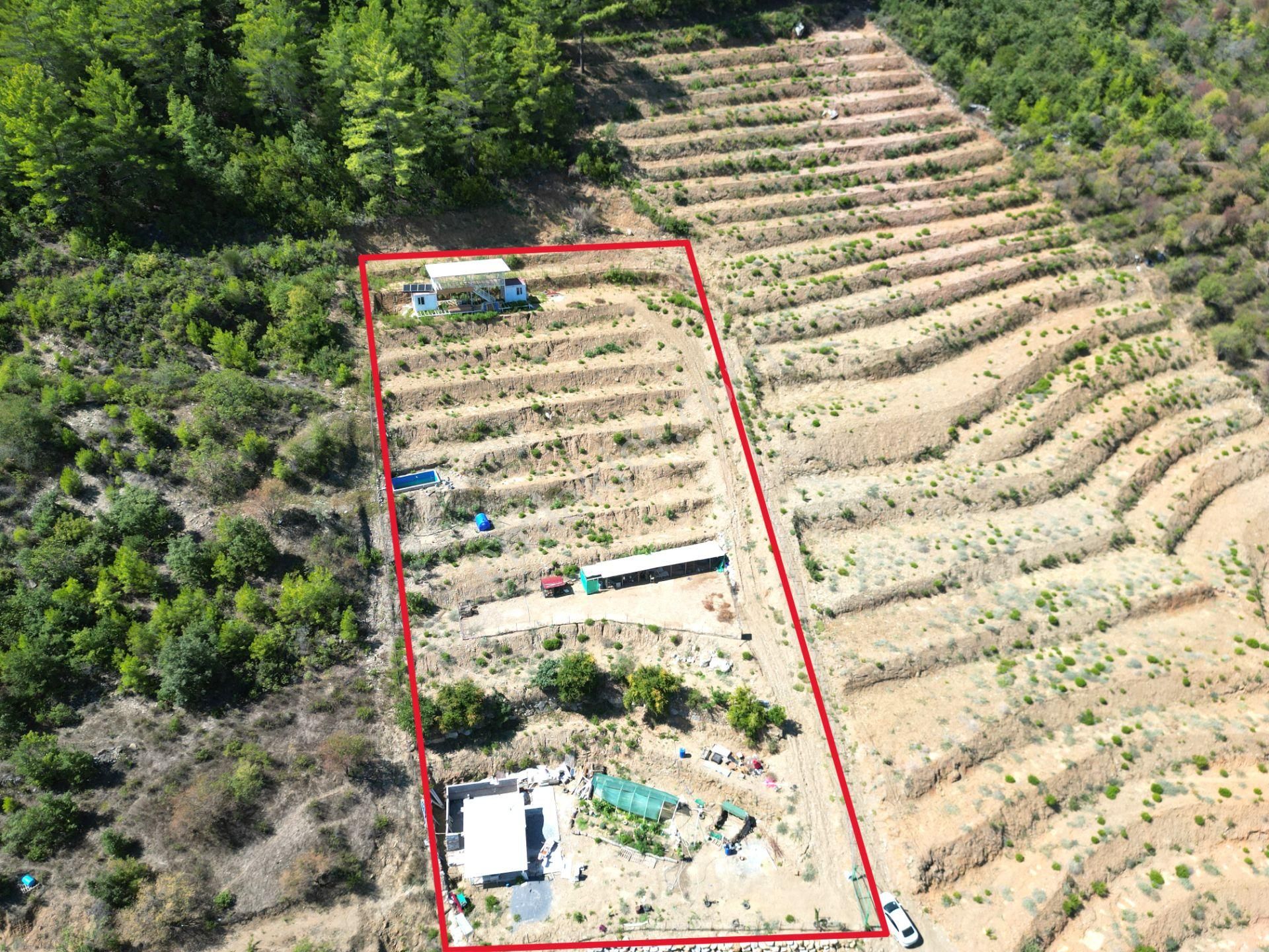 Fakırcalı Köyünde Satılık 3700 M2 Zeytin Tarlası Ve Prefabrik Ev - Görsel 22