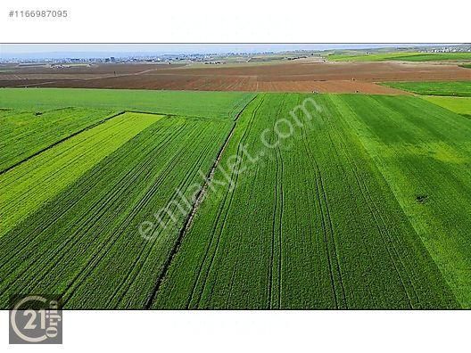 Çan Kocayayla Köyü Satılık Tarla  Çanakkale Çan ilçesi Kocayayla köyü Tek tapu yer   15200 m2 