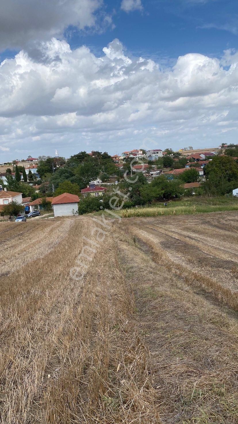 Saray Göçerler Satılık Tarla Tekirdağ Saray Göçerler Köyü 415m2 Çapli Muvakatnameli Köye Yakin