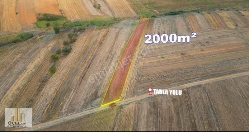 Malkara Kozyörük Satılık Tarla TEKİRDAĞ MALKARA KOZYÖRÜK YOLA CEPHE 2.000 M2 TEK TAPU TARLA