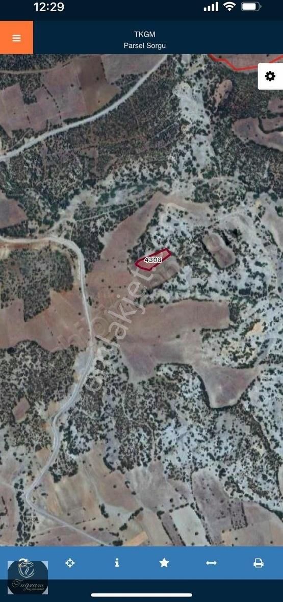 Burdur Harmanlı 2.600 M2 Yola Yakın Tek Tapu Tarla - Görsel 3
