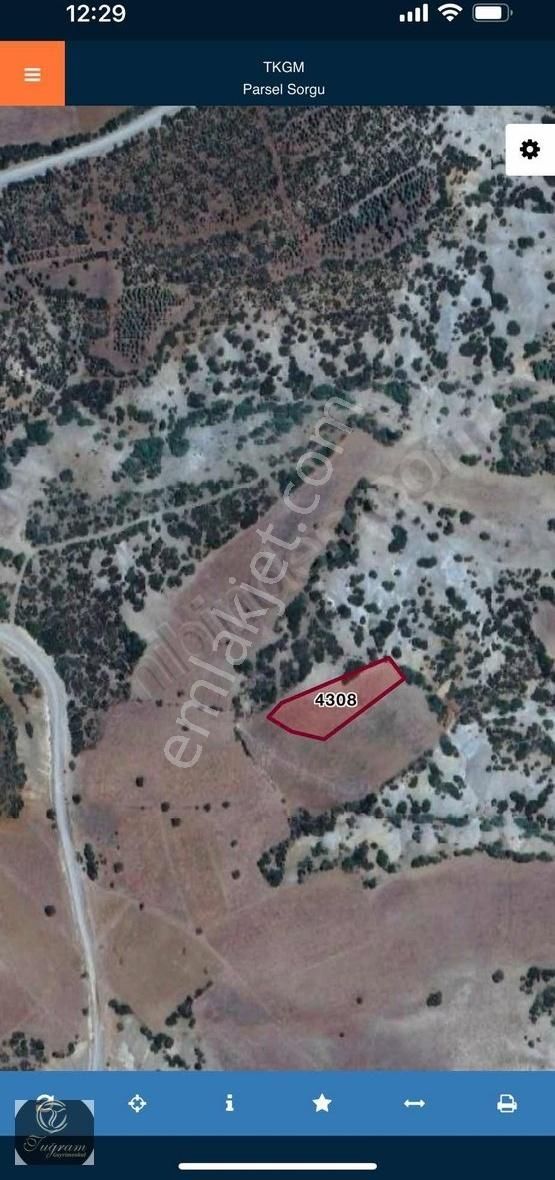Burdur Harmanlı 2.600 M2 Yola Yakın Tek Tapu Tarla - Görsel 4