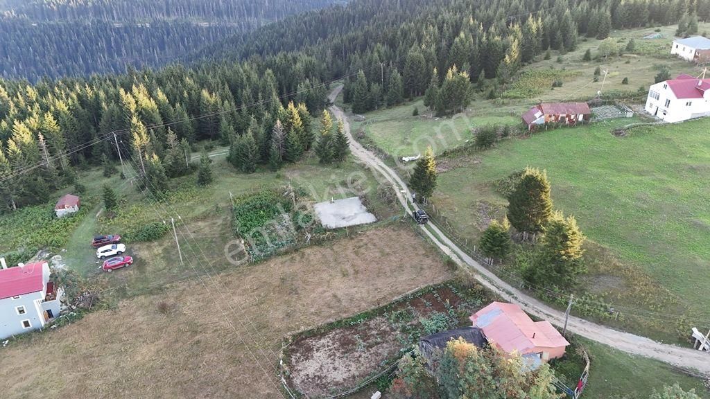 Akçaabat Işıklar Satılık Konut İmarlı  ABDİ BOSTAN GAYRİMENKUL'DEN KAYABAŞI YAYLASI LİMANOBADA SATILIK ARSA​