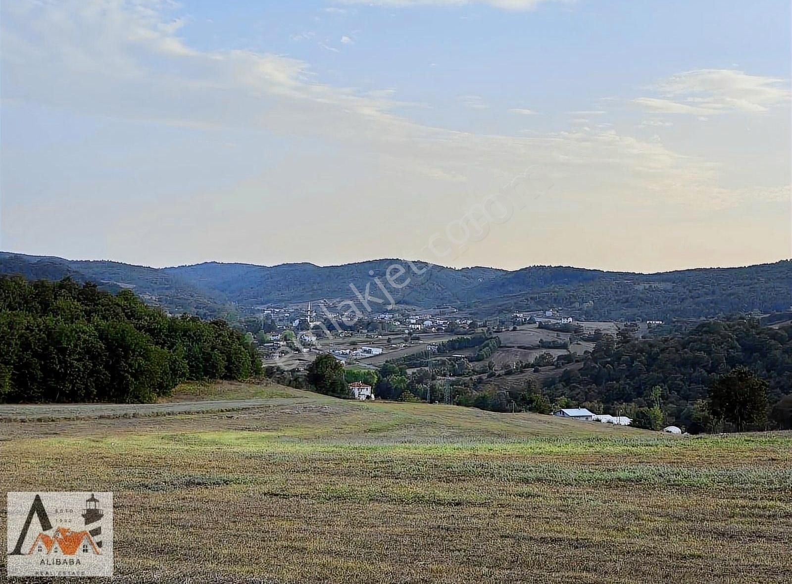 Şile Çengilli Satılık Tarla Şile Ali Baba Emlaktan Çengillide 4.300 M2 Turizm İmarlı Tarla