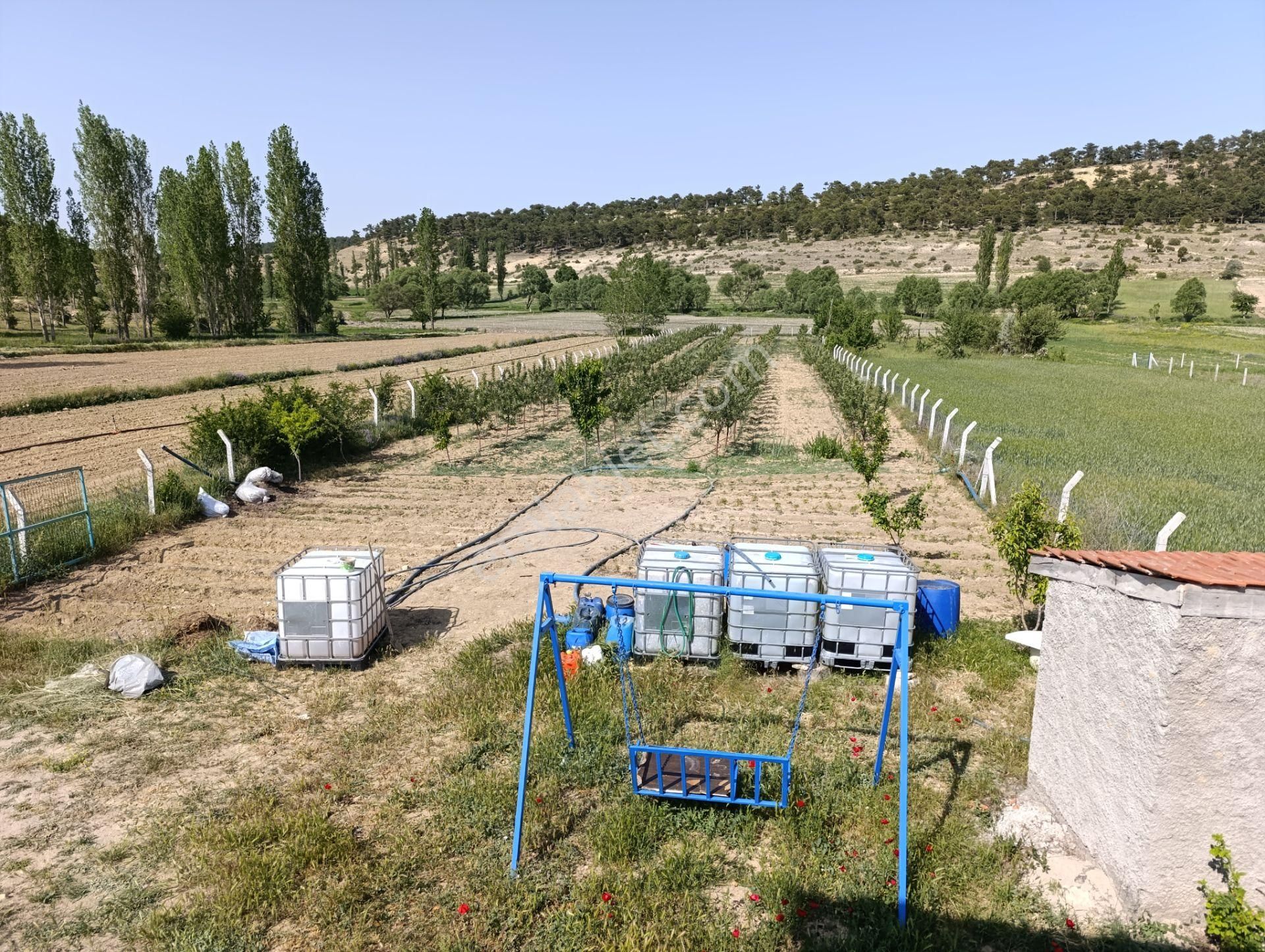 Satılık 3000.metre Kare Elma Bahçesi Elektirik Su Yolu Mevcut Tek Katlı Villa Tipi İçinde Ev Var - Görsel 33