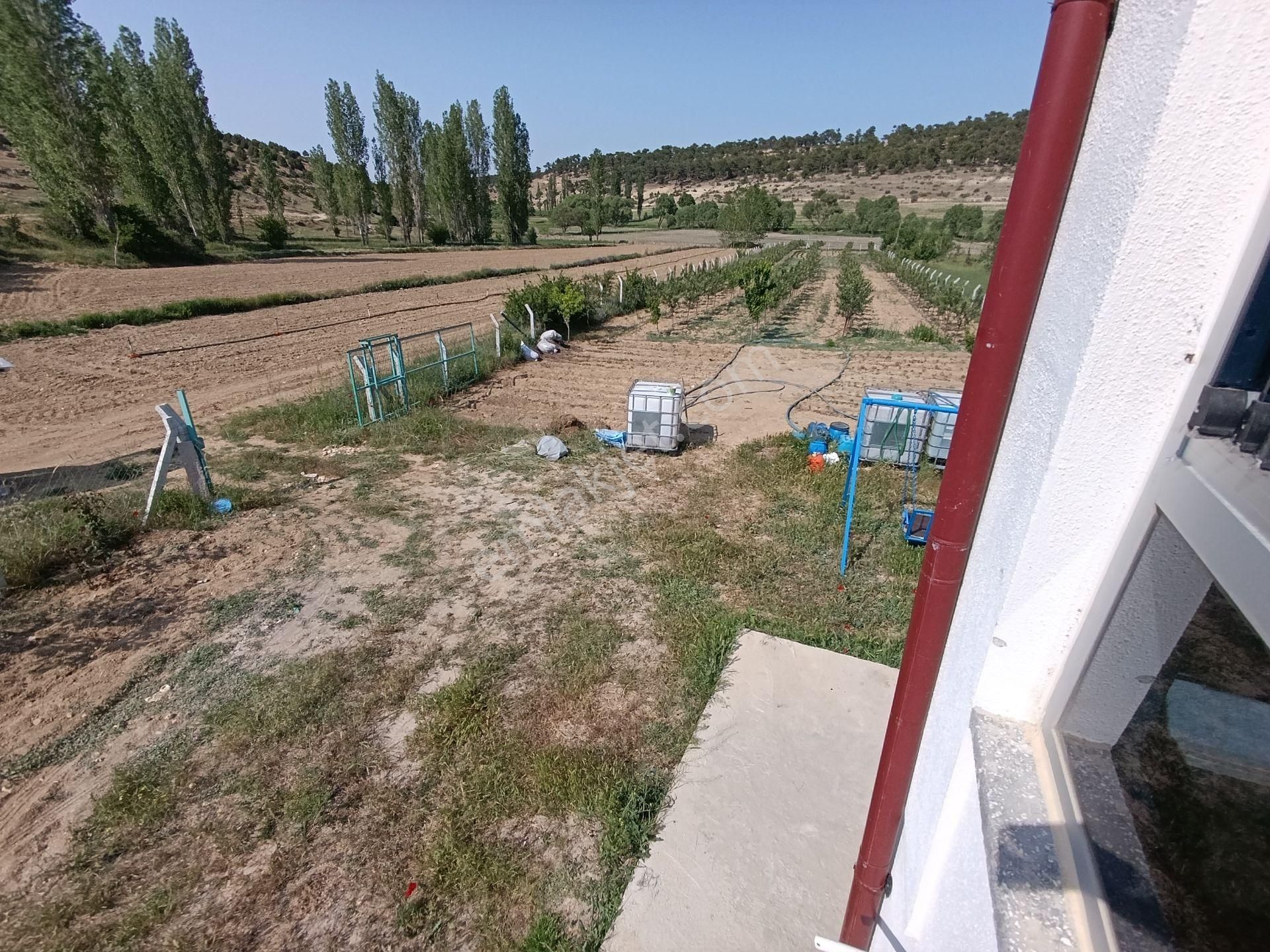 Satılık 3000.metre Kare Elma Bahçesi Elektirik Su Yolu Mevcut Tek Katlı Villa Tipi İçinde Ev Var - Görsel 32