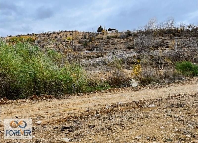 Yeşilyurt Yakınca Satılık Bağ & Bahçe Yakınca Da Satılık 6 Dönüm Kupon Arsa