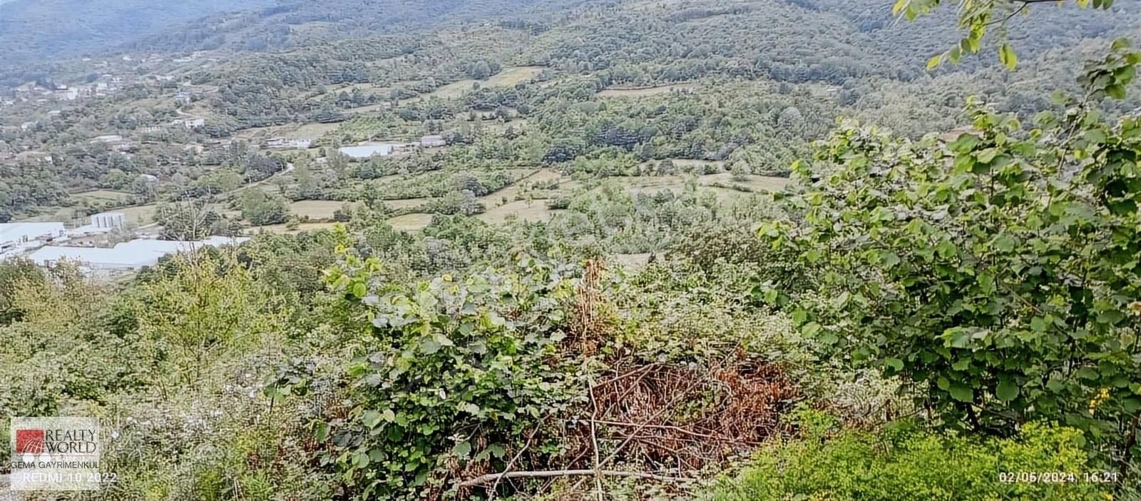 Gölcük Hamidiye Satılık Tarla Gölcük Hamidiye'de Satılık Mükemmel Manzaralı Villalık Arazi