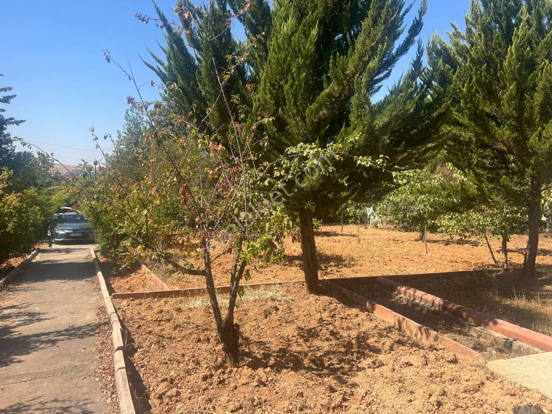 Gaziantep Şahinbey Satılık Ticari İmarlı  Cebelerde Cadde Üzerinde Ticari İmarlı