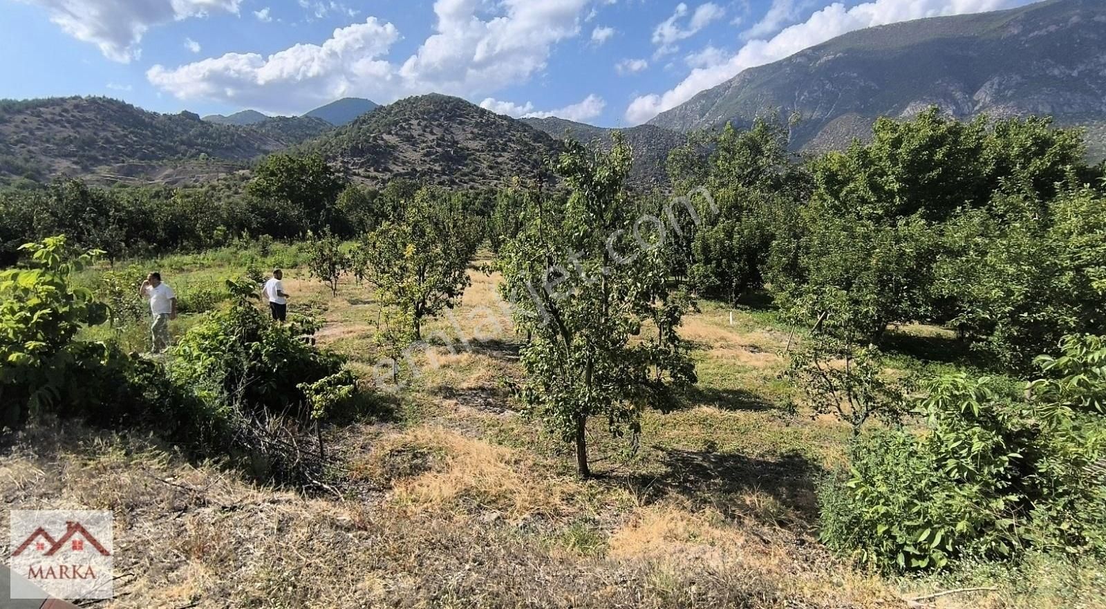 Amasya Merkez Ziyaret Bld. (Saraycık) Satılık Bağ & Bahçe MARKA EMLAK'TAN KUPON 2 BAHÇE, FIRSATIN DETAYLARI AÇIKLAMADA