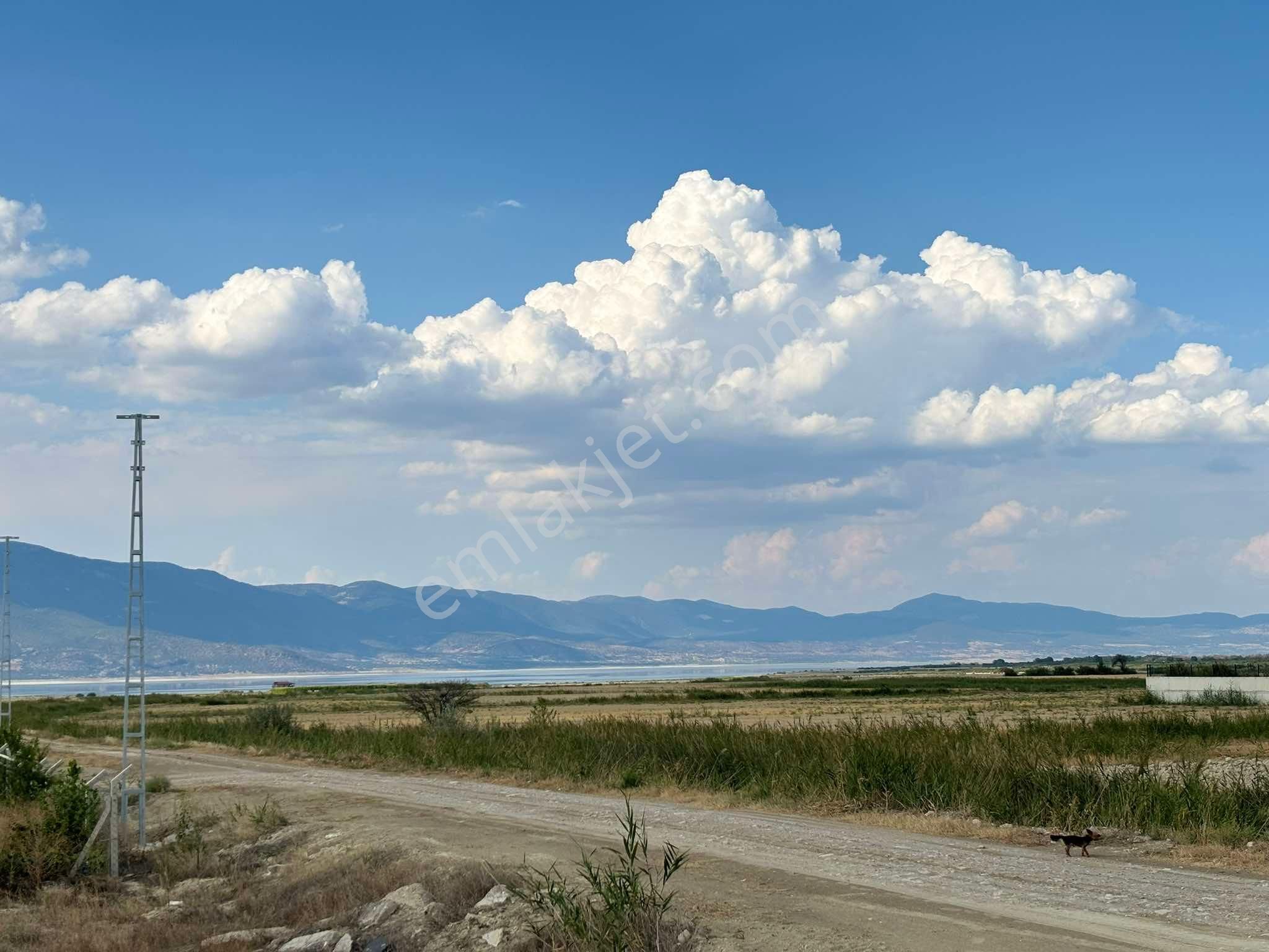 Burdur Merkez Yazıköy Köyü Satılık Tarla Şafak Emlak Satılık Burdur Yazıköy 1655m2 Köşe Asfalt Yola Cephe