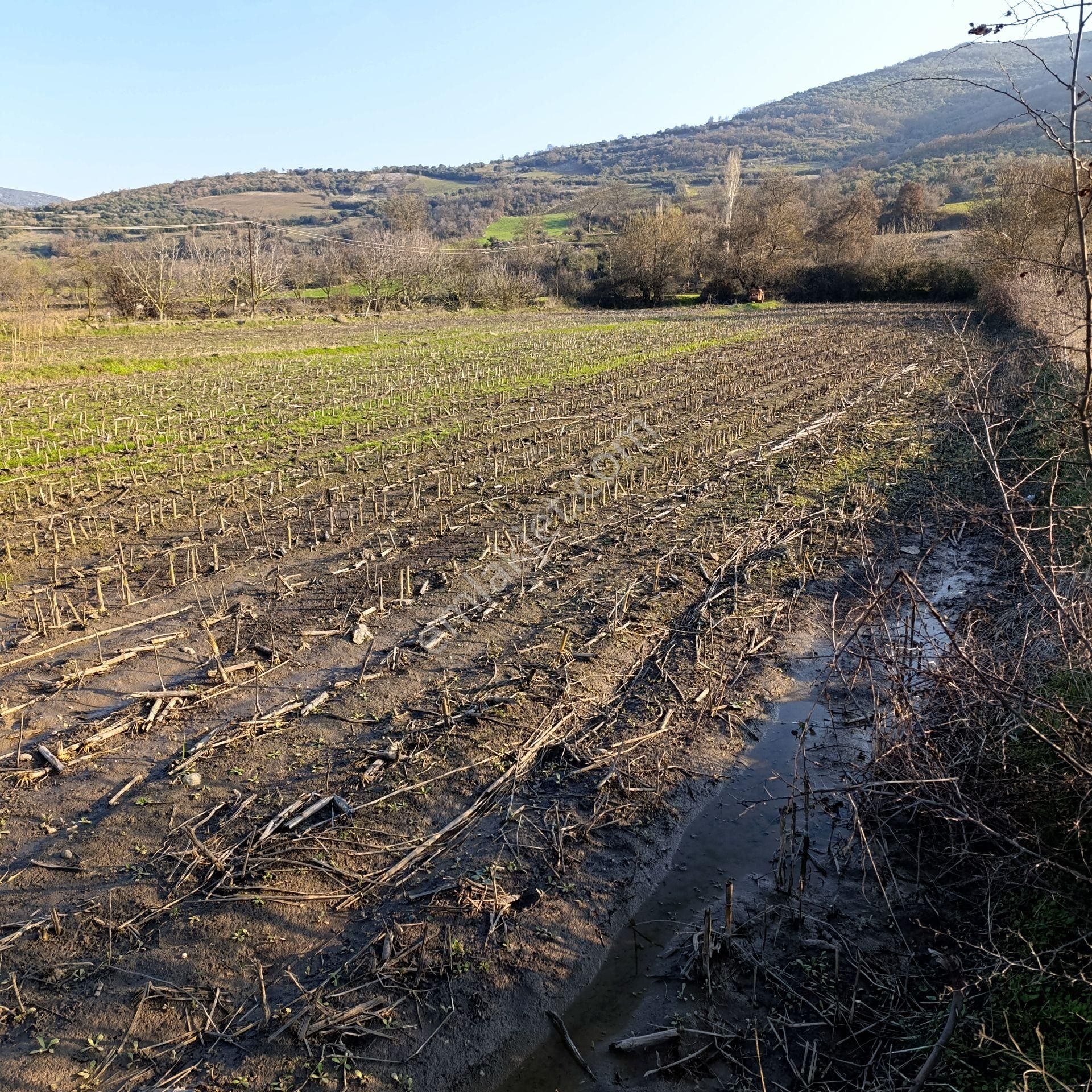 Altıeylül Bayat Satılık Tarla Yatırımlık Balıkesir/altıeylül 2000m2 Alana Sahip Tarla İzmir Otoban Yoluna 10 Dk Mesafede Satılık