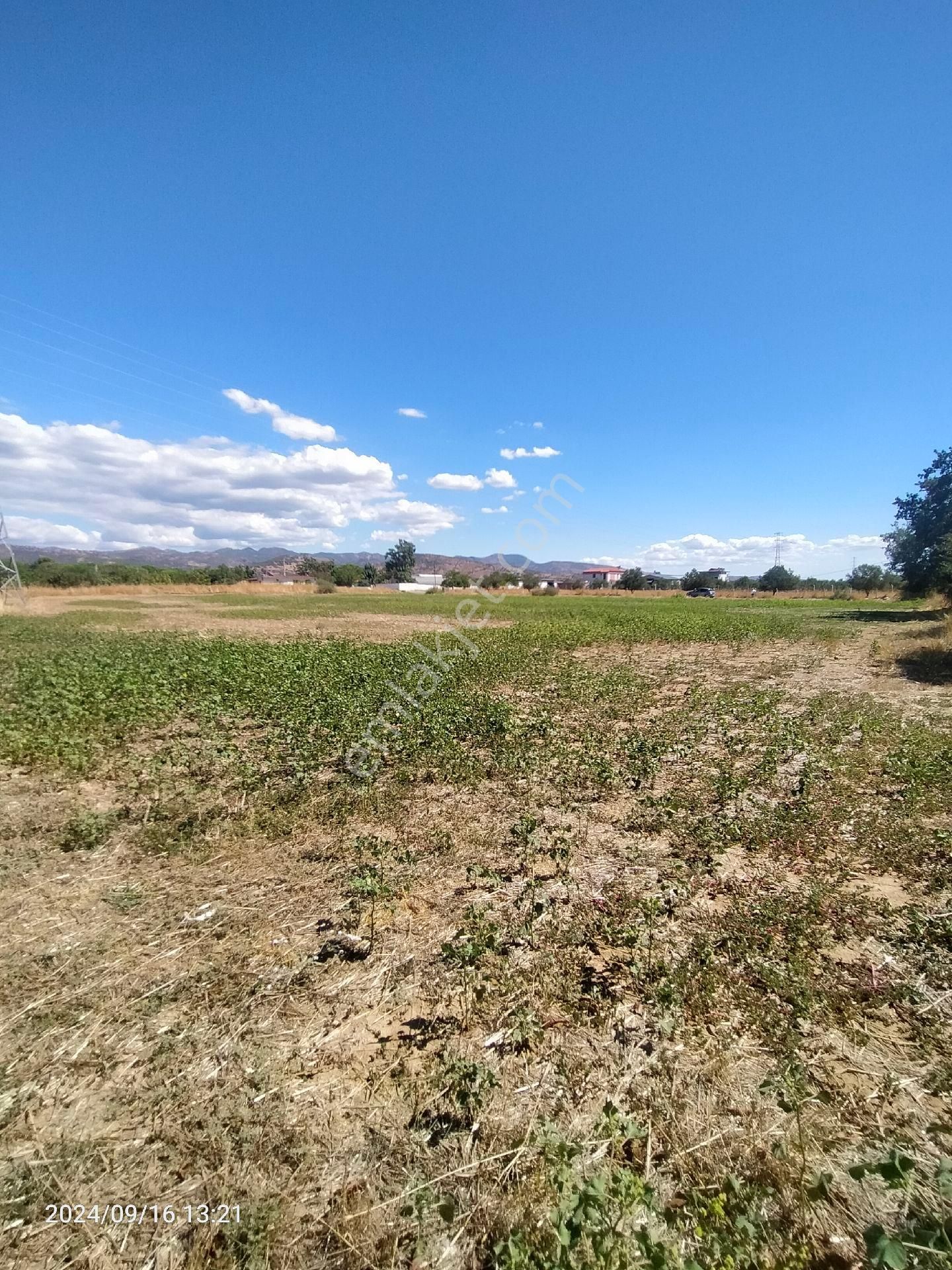 Saadet Korkmaz Emlak'tan İmarın Dibinde 9138 M2 Satılık Tarla - Görsel 14