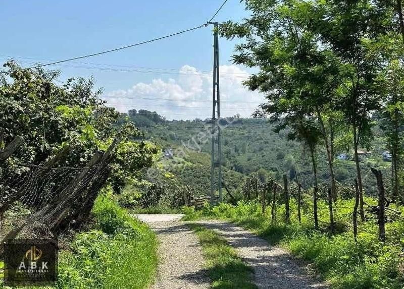 Ünye Gölevi Satılık Tarla KISA SÜRELİĞİNE FİYAT DÜŞTÜ!!! SATILIK MÜSTAKİL EV VE ARSA