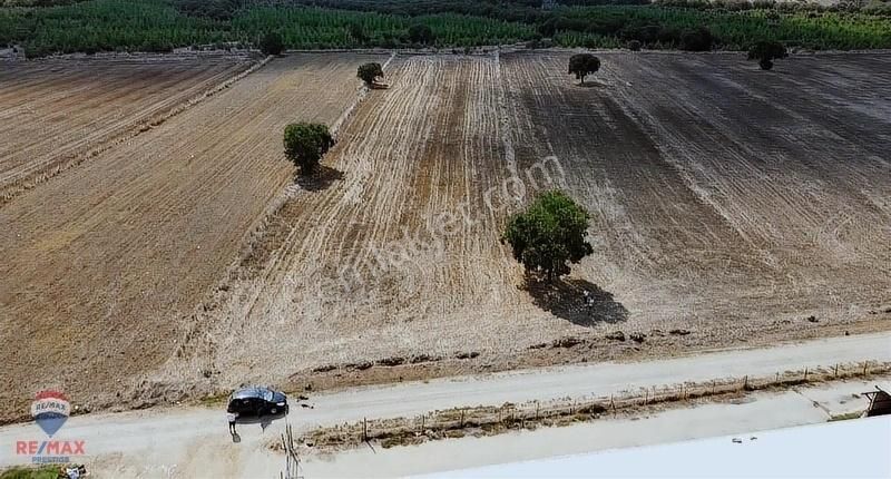 Biga Aziziye Köyü Satılık Tarla Yola Cepheli 5610 m² Satılık Tarla-Biga Aziziye Köyünde