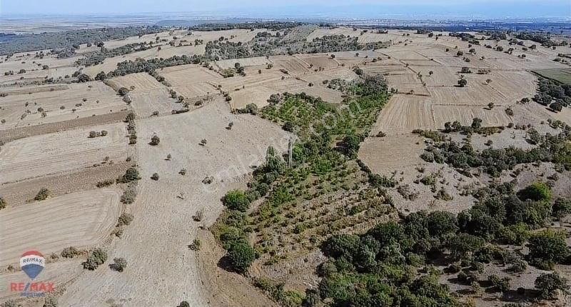 Biga Yeniçiftlik Köyü (Ece) Satılık Tarla BİGA'DA 500 ADET YETİŞMİŞ CEVİZ AĞAÇLI 20 DÖNÜM SATILIK ARSA