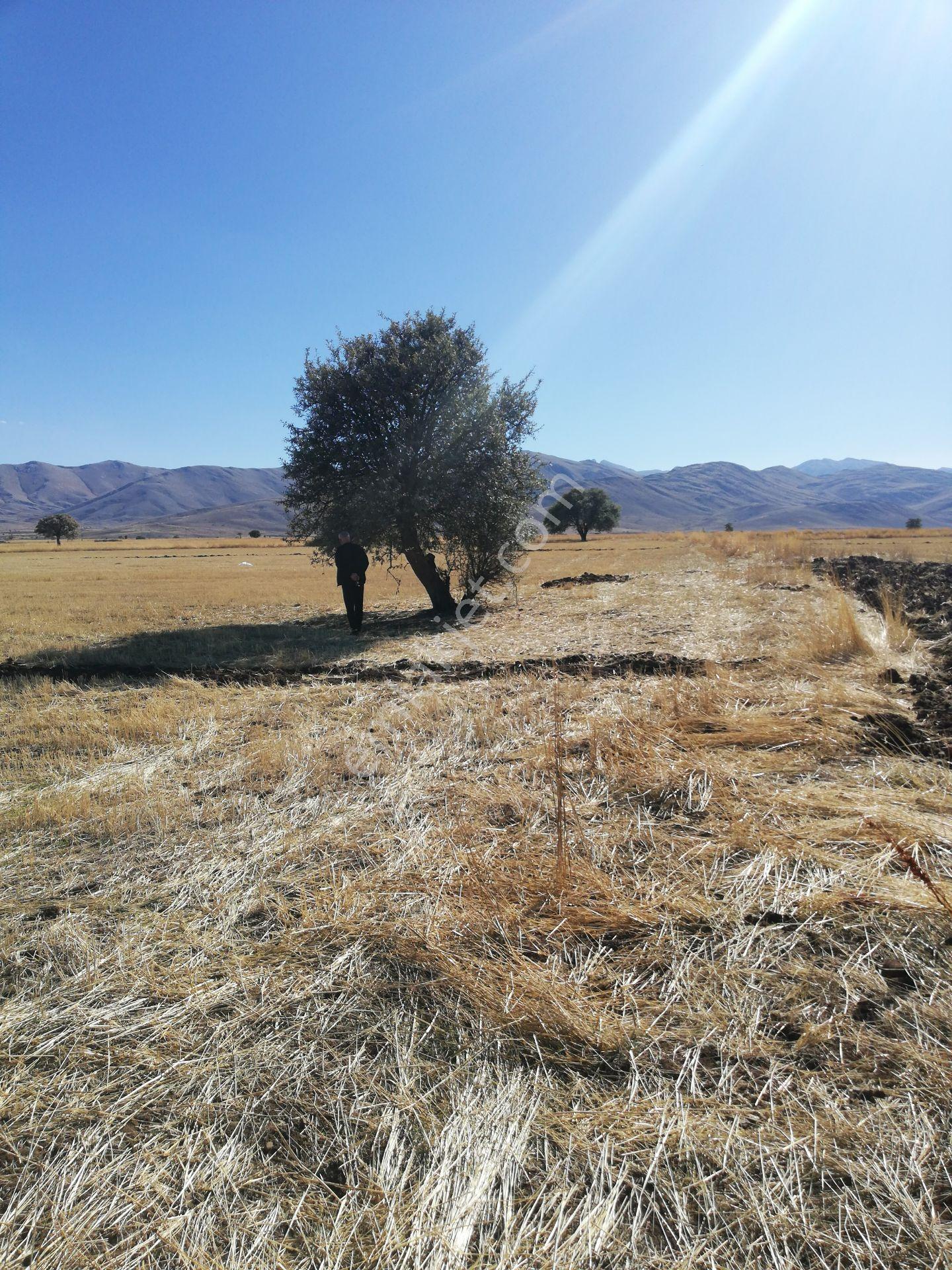 Köy Yerleşik Alanda Çiftlik Evine Bahçe Yapımına Uygun 32168 M2 İmarlı Arazi - Görsel 7