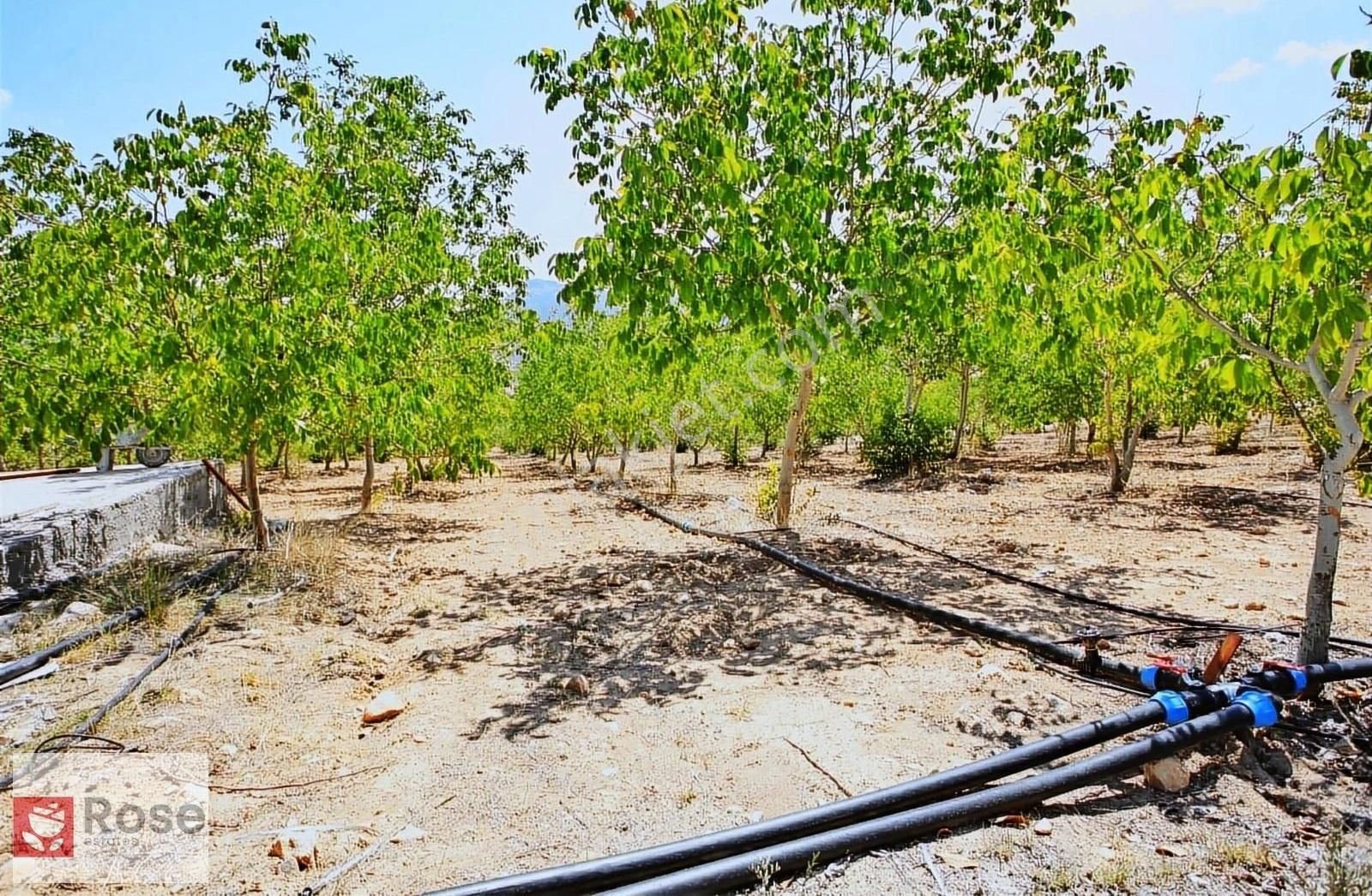 Bucak Keçili Köyü Satılık Bağ & Bahçe Satılık Muhteşem Bahçe 27.000 M2 Burdur Bucak Keçili Köyü