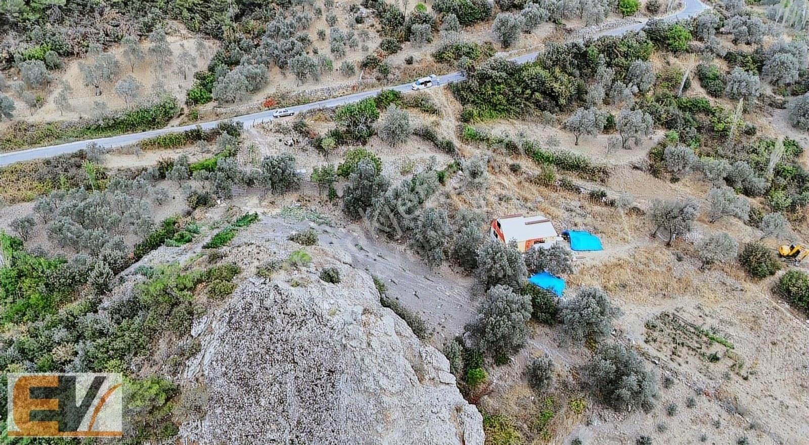 Bergama Alhatlı Satılık Bağ & Bahçe BERGAMA DÜBEK TAŞINDA ORMAN MANZARALI SATILIK