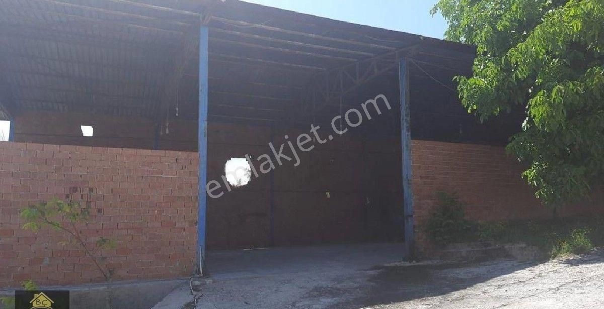 Kütahya Domaniç Hasantepe De 5780 M2 Arsa Ve Çiftlik Evi - Görsel 21