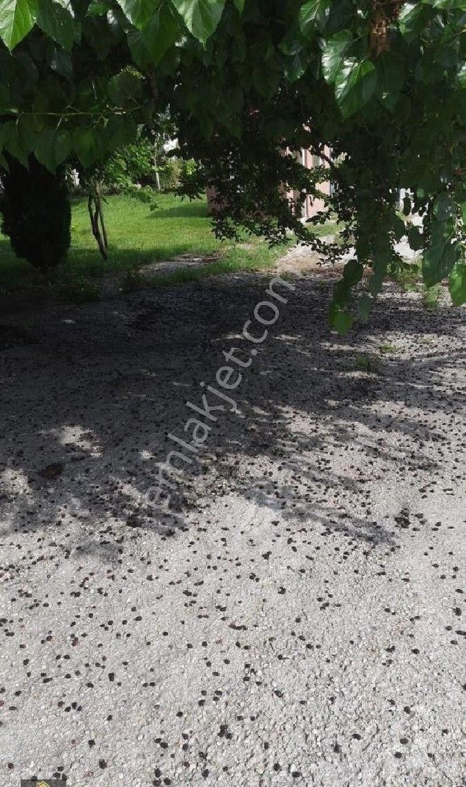 Kütahya Domaniç Hasantepe De 5780 M2 Arsa Ve Çiftlik Evi - Görsel 11