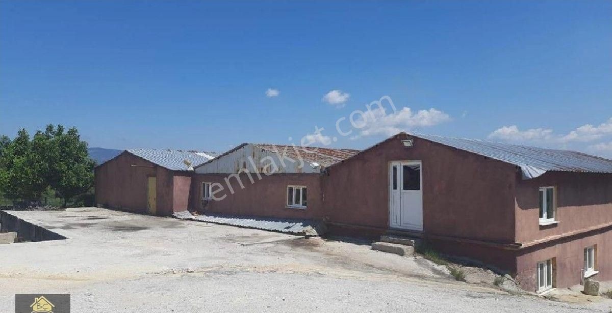 Kütahya Domaniç Hasantepe De 5780 M2 Arsa Ve Çiftlik Evi - Görsel 28