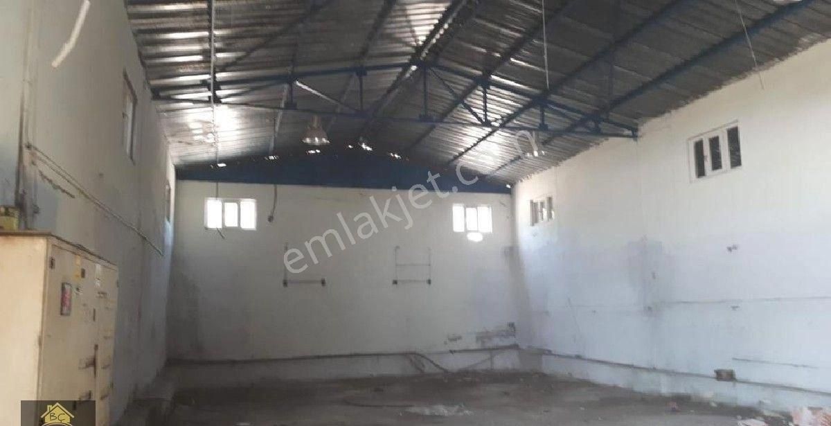 Kütahya Domaniç Hasantepe De 5780 M2 Arsa Ve Çiftlik Evi - Görsel 2