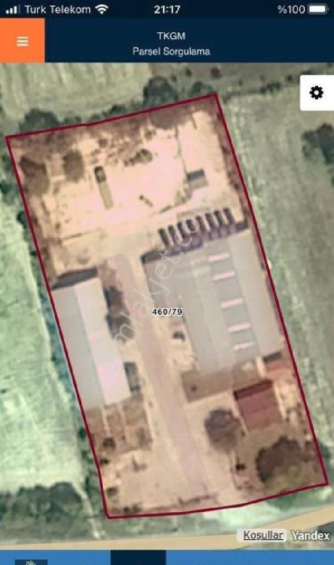 Kütahya Domaniç Hasantepe De 5780 M2 Arsa Ve Çiftlik Evi - Görsel 10