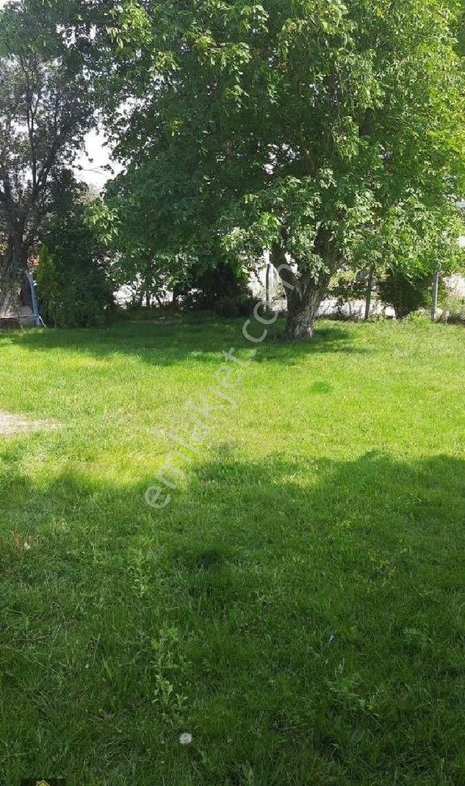 Kütahya Domaniç Hasantepe De 5780 M2 Arsa Ve Çiftlik Evi - Görsel 25