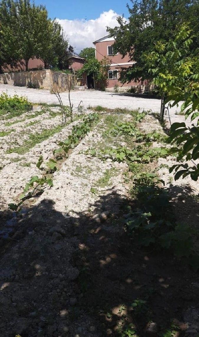 Kütahya Domaniç Hasantepe De 5780 M2 Arsa Ve Çiftlik Evi - Görsel 4