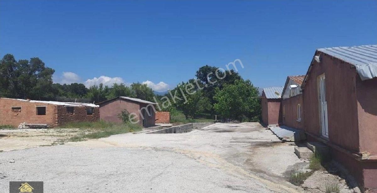 Kütahya Domaniç Hasantepe De 5780 M2 Arsa Ve Çiftlik Evi - Görsel 19