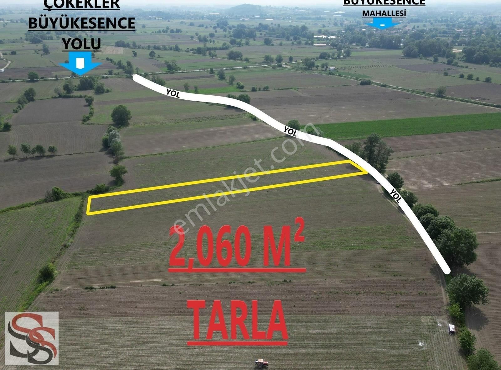 Adapazarı Taşlık Satılık Tarla Adapazarı Taşlık Mahallesinde 2,060 M² Yatırımlık Tarla