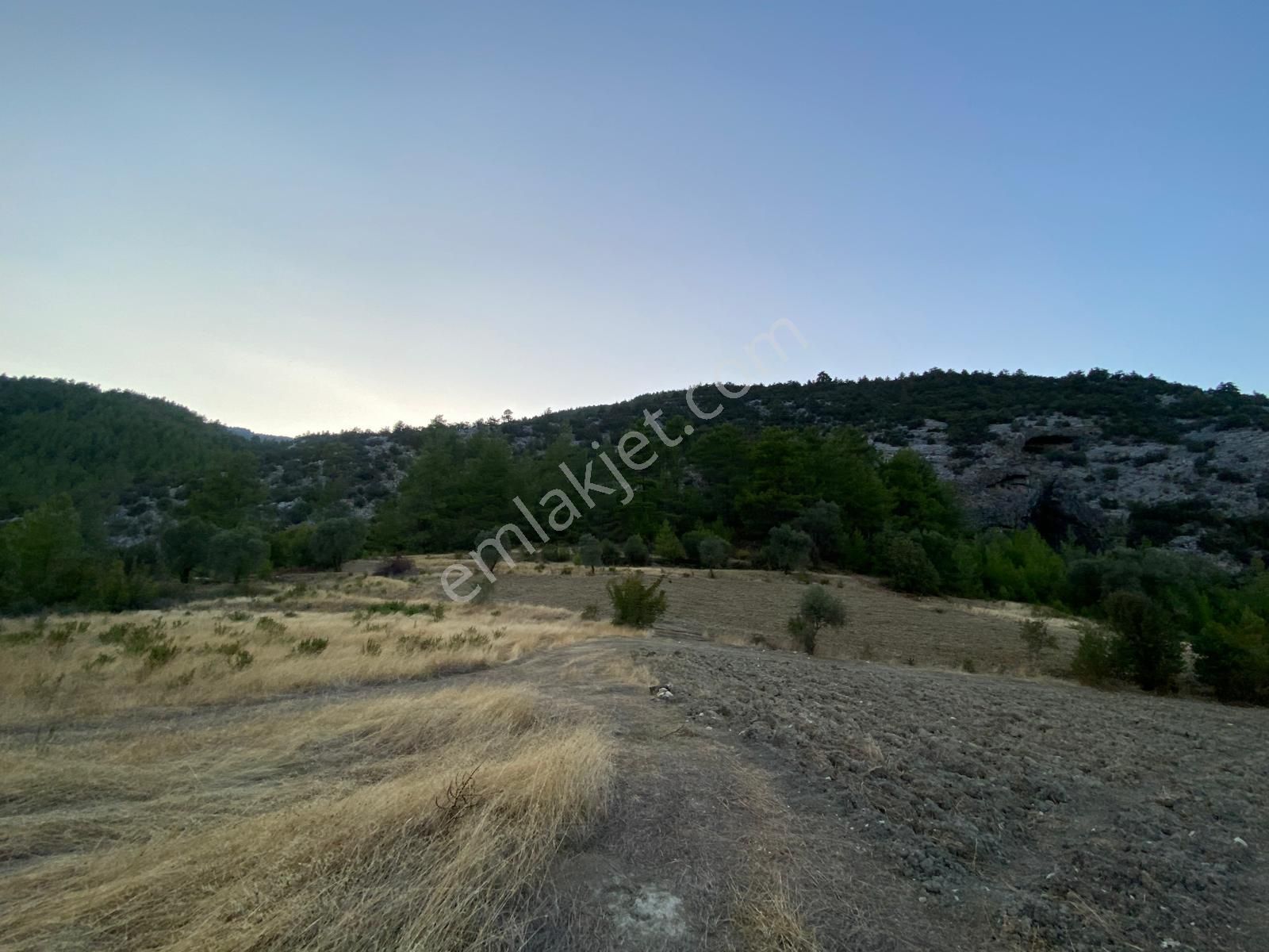Burdur Bucak Dutalan Köyün De Satılık Arazi - Görsel 10