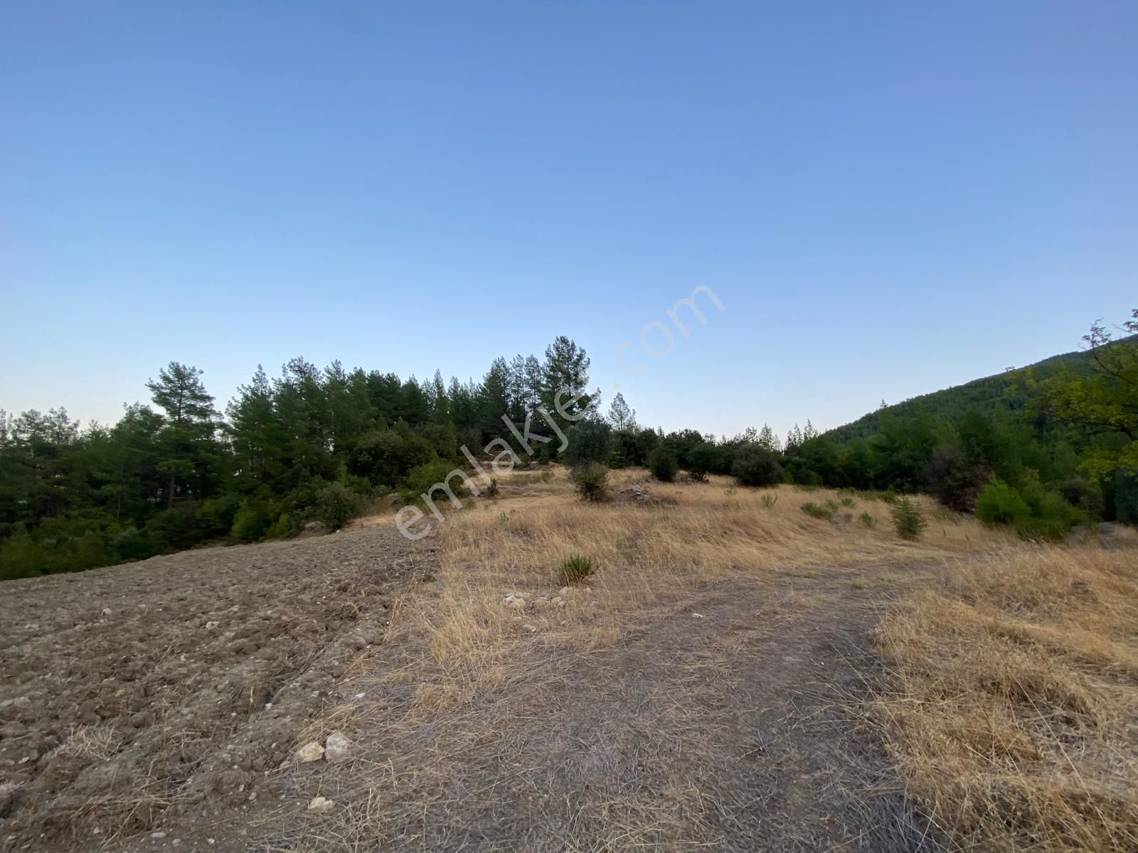 Burdur Bucak Dutalan Köyün De Satılık Arazi - Görsel 6