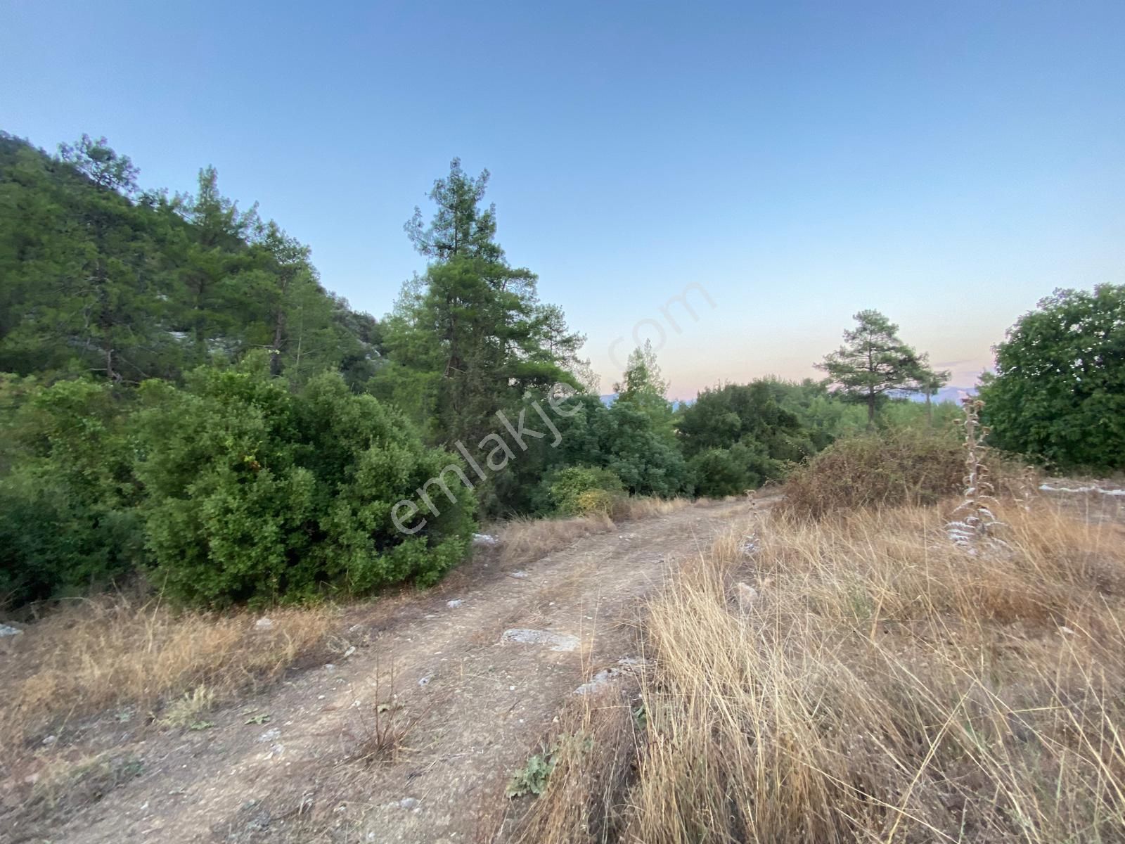 Burdur Bucak Dutalan Köyün De Satılık Arazi - Görsel 9