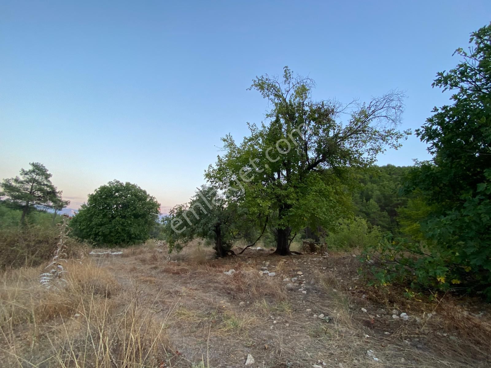 Burdur Bucak Dutalan Köyün De Satılık Arazi - Görsel 5