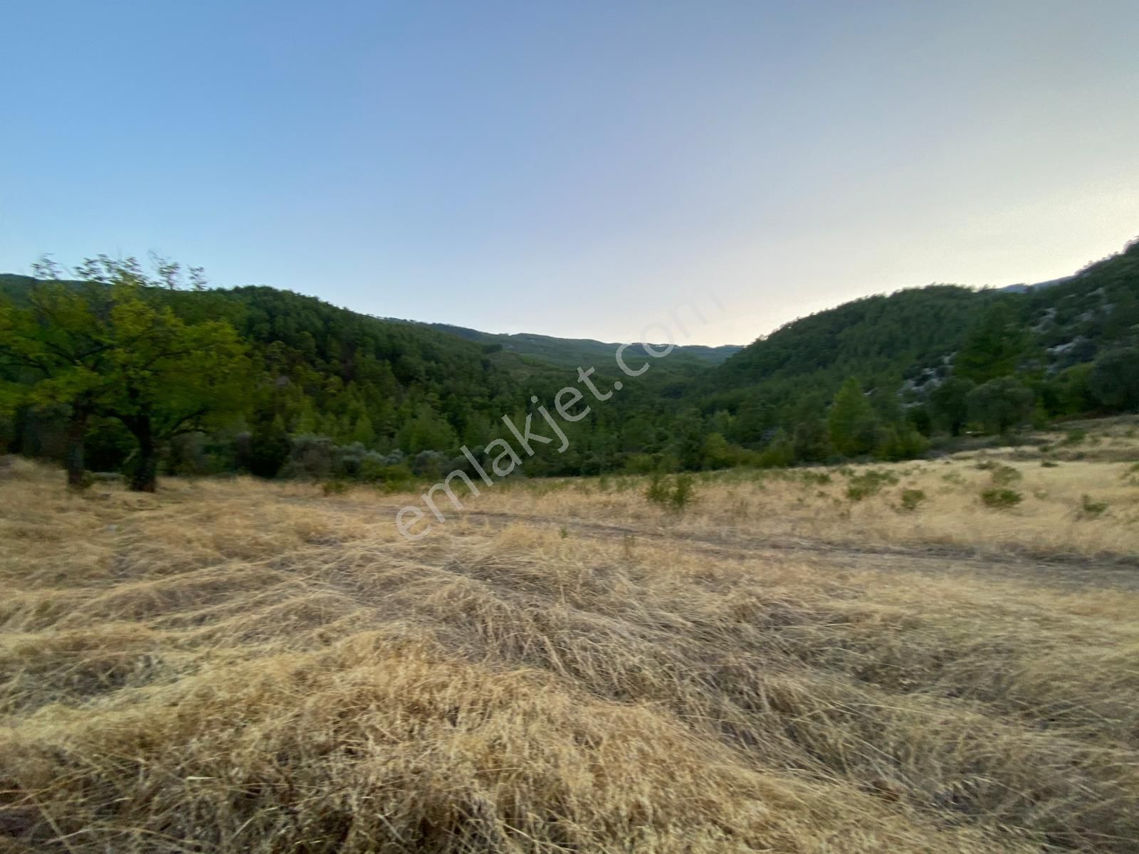 Burdur Bucak Dutalan Köyün De Satılık Arazi - Görsel 4