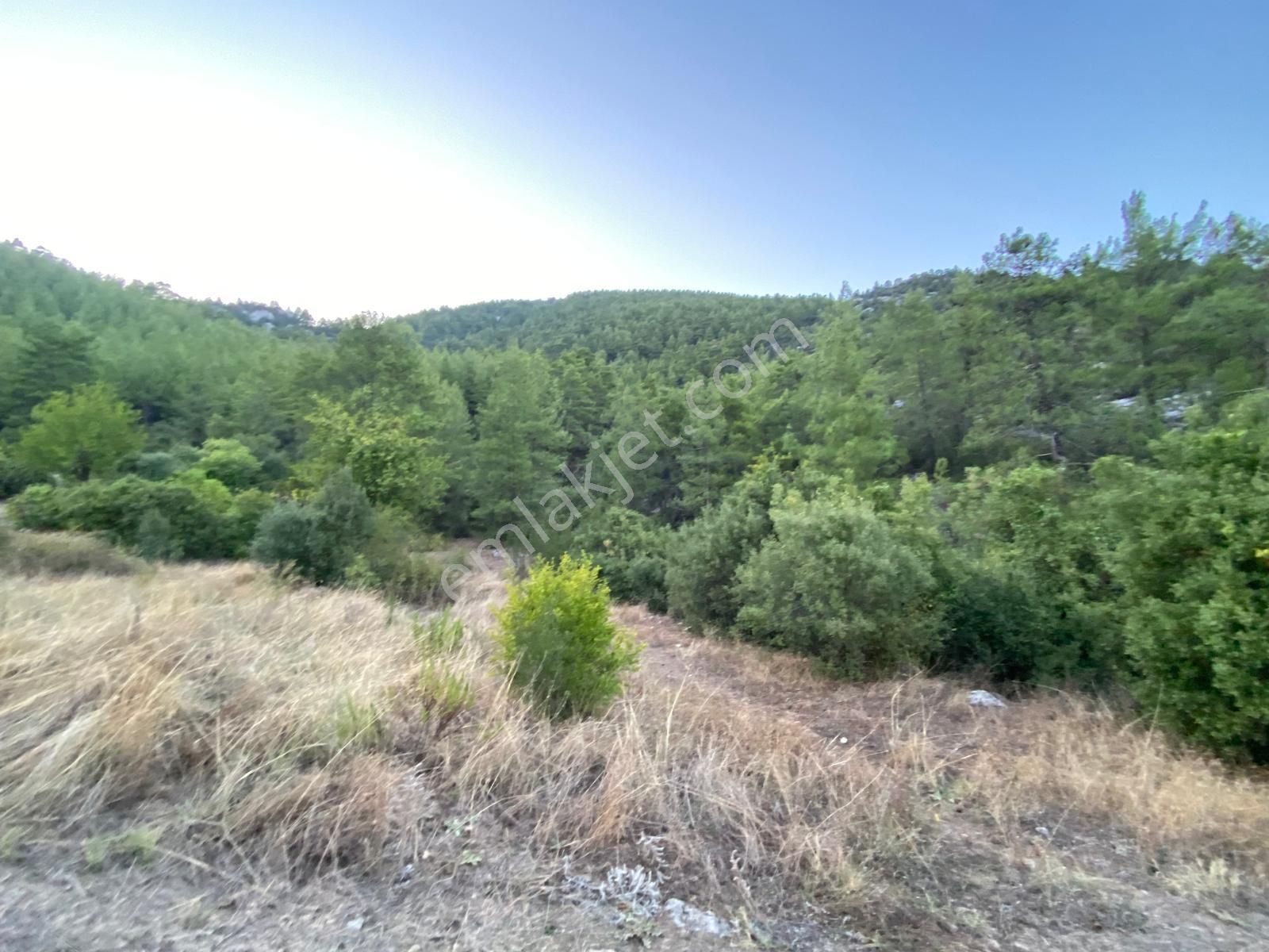 Burdur Bucak Dutalan Köyün De Satılık Arazi - Görsel 7