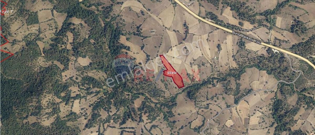 Yenice Çal Köyü Satılık Tarla ÇANAKKALE YENİCE ÇAL KÖYÜNDE 13834 M2 SATILIK TARLA