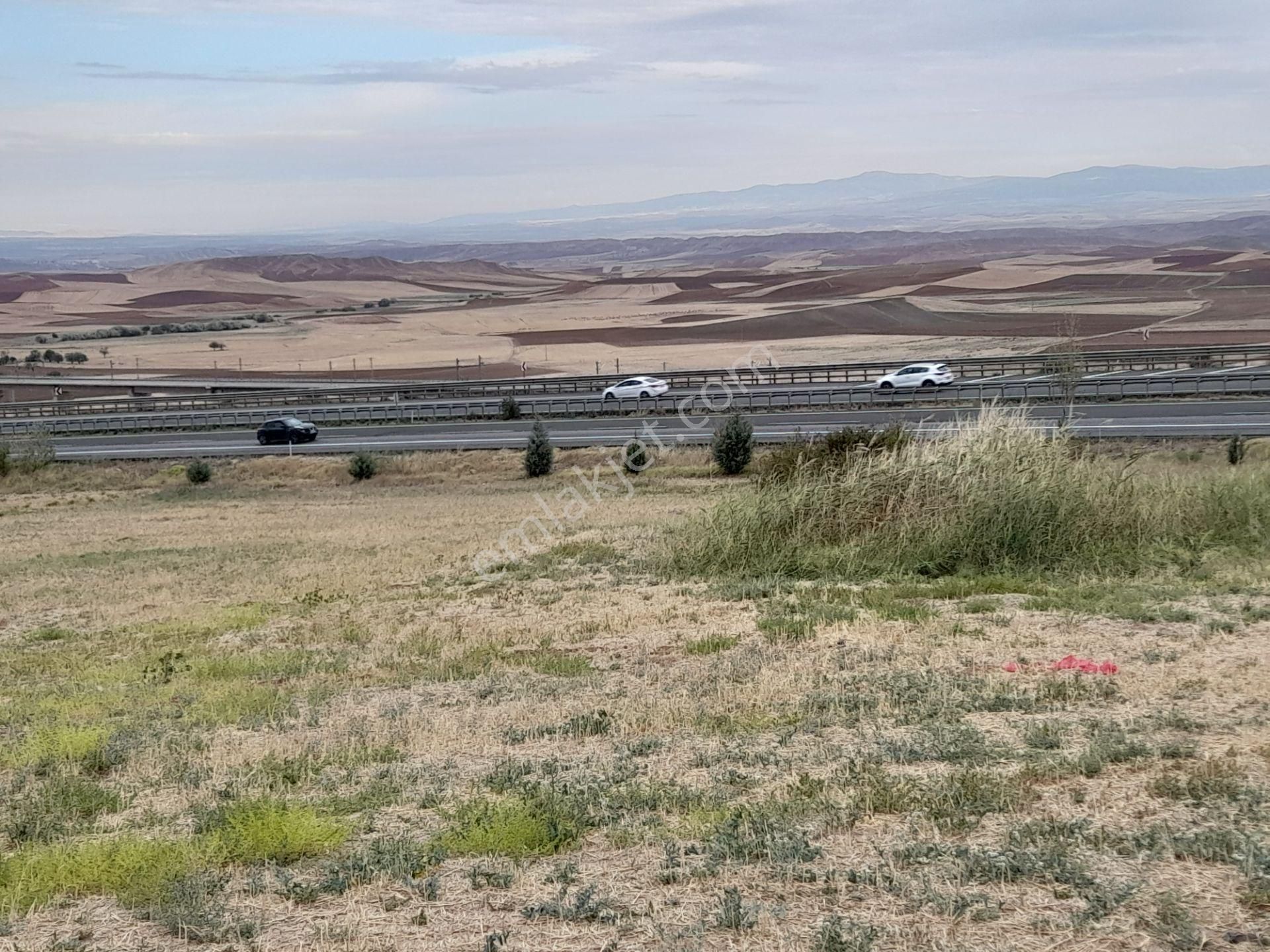 Delice Büyükyağlı Köyü (Yıldız) Satılık Tarla Samsun-çorum Ankara Karayoluna Cepheli Yatırımlık Tarla