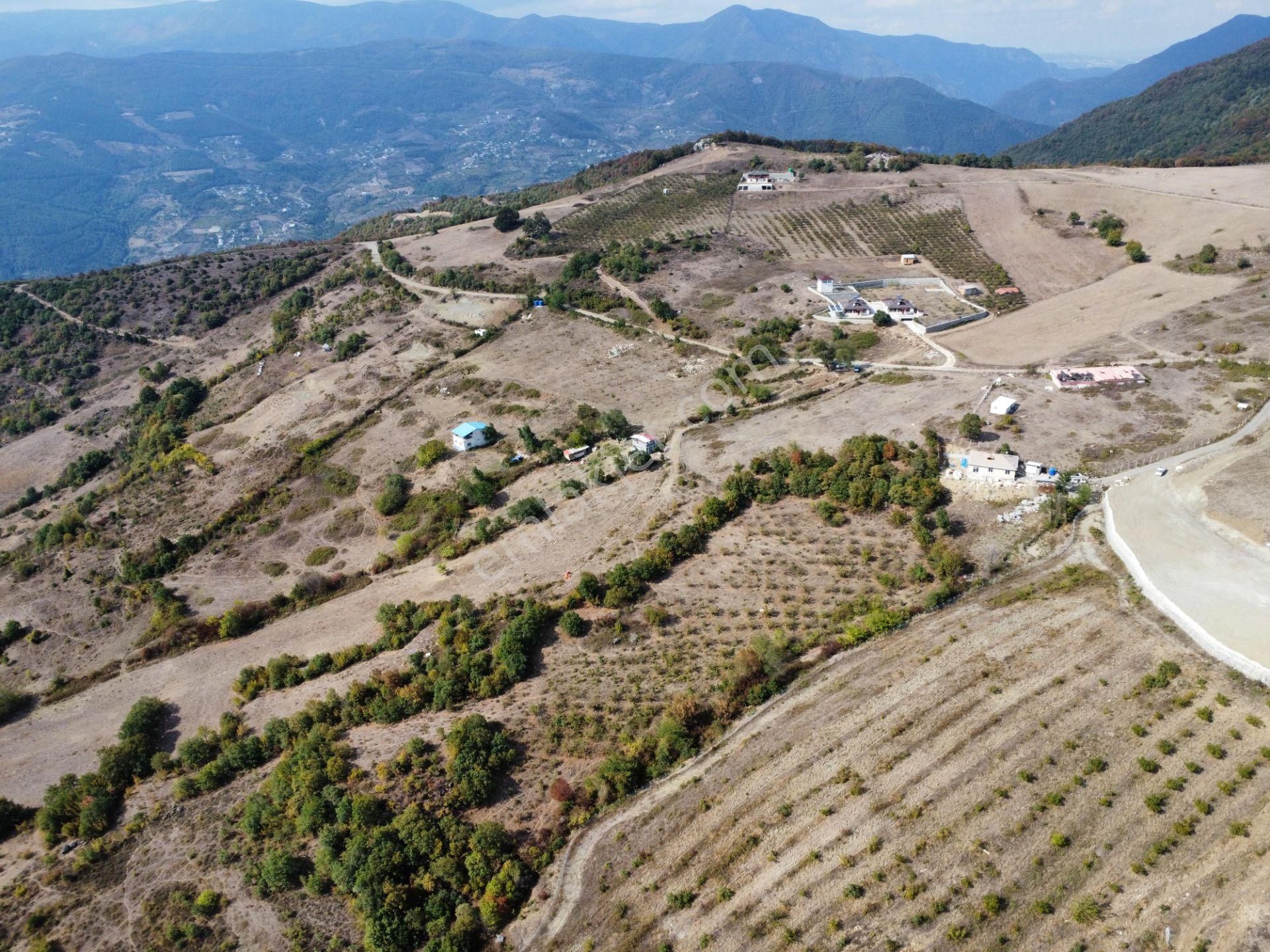 Geyve Akkaya Satılık Tarla  SAKARYA GEYVE AKKAYA' DA PANAROMİK MANZARALI 10.138 m2 ARAZİ