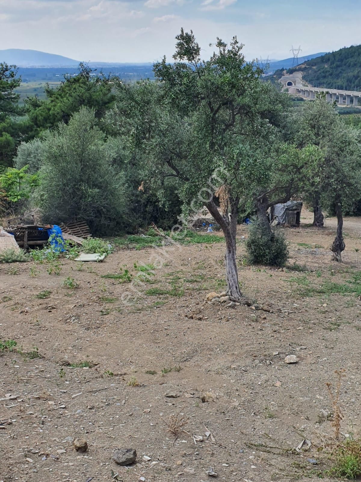 Kestel Dudaklı Mahallesinde Fırsat Parselli Araziler 900m2-1500m2 - Görsel 2