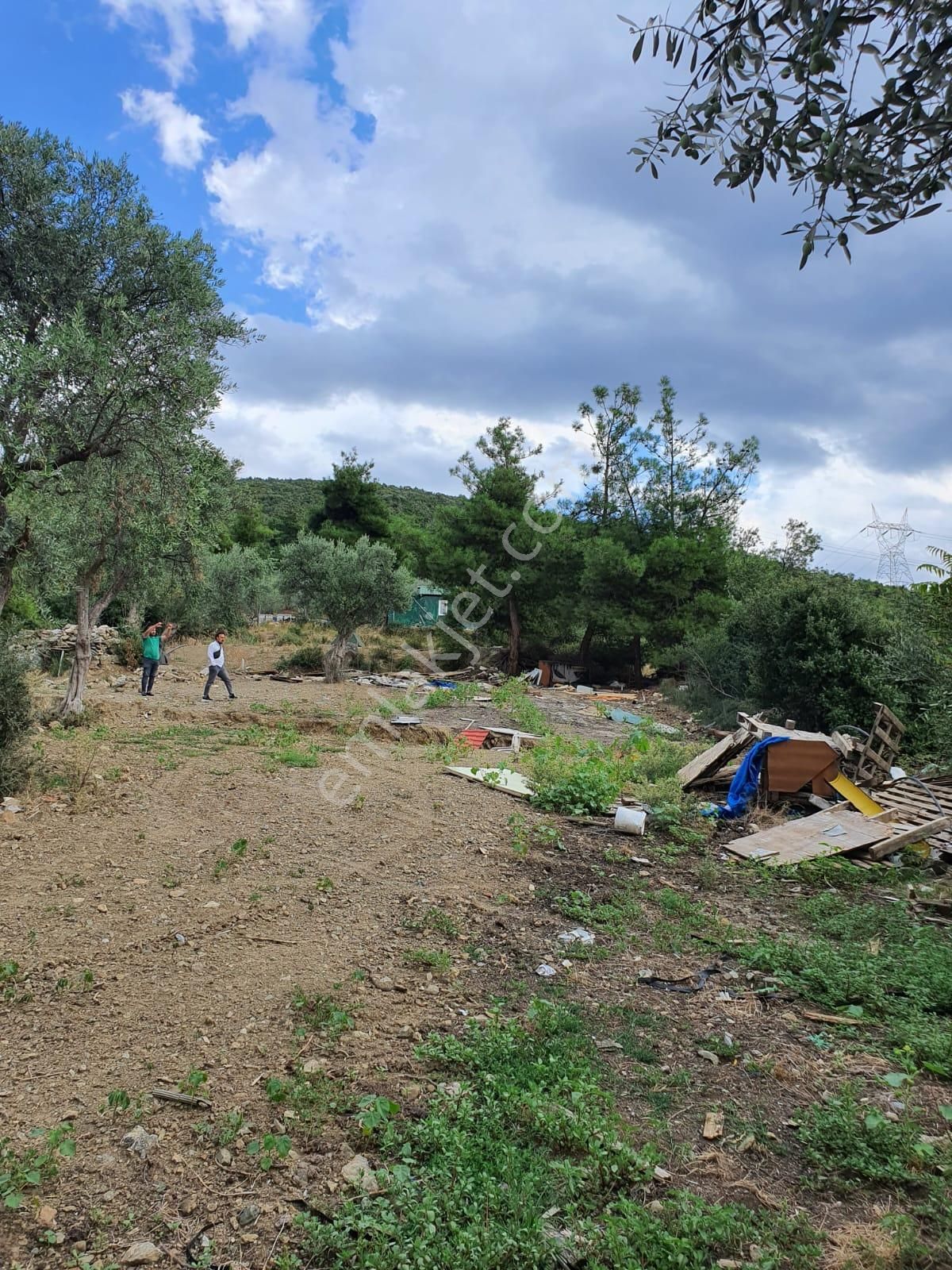 Kestel Dudaklı Mahallesinde Fırsat Parselli Araziler 900m2-1500m2 - Görsel 15